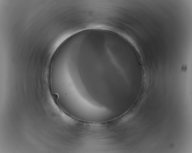X0000111221007200907021330