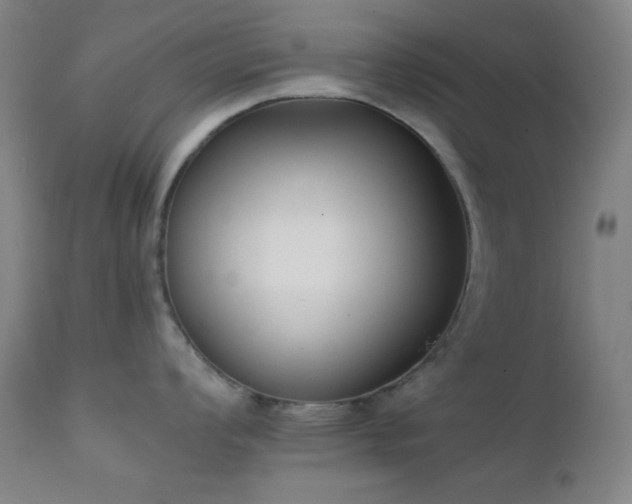 X0000111221008200907021330