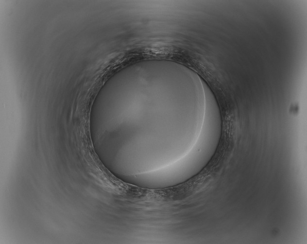 X0000111221009200907021329
