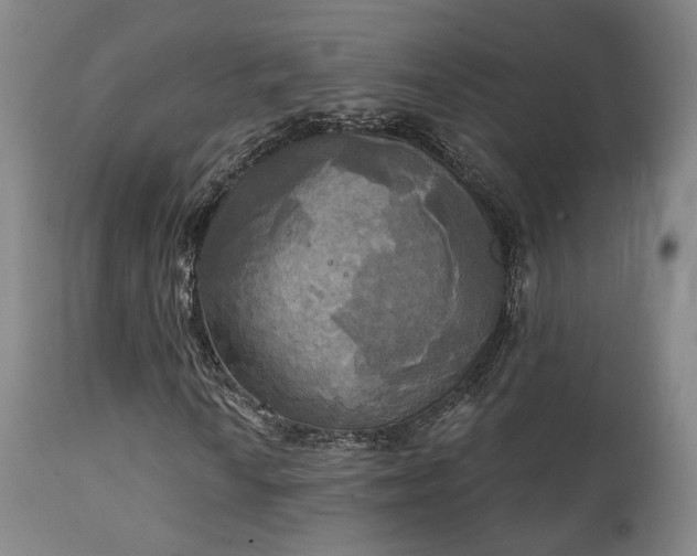 X0000111221010200907021329