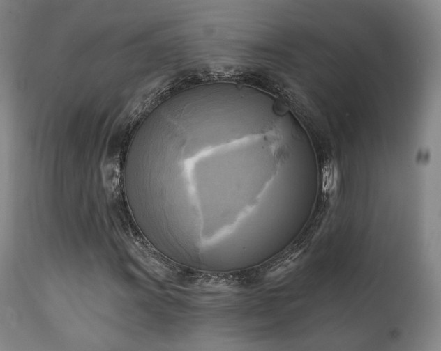 X0000111221011200907021329