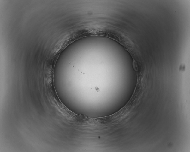 X0000111221012200907021329