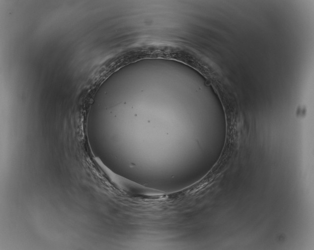 X0000111221013200907021329