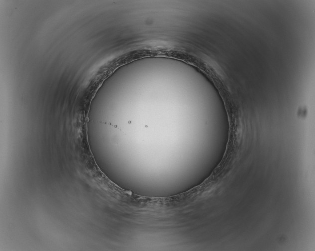 X0000111221016200907021329