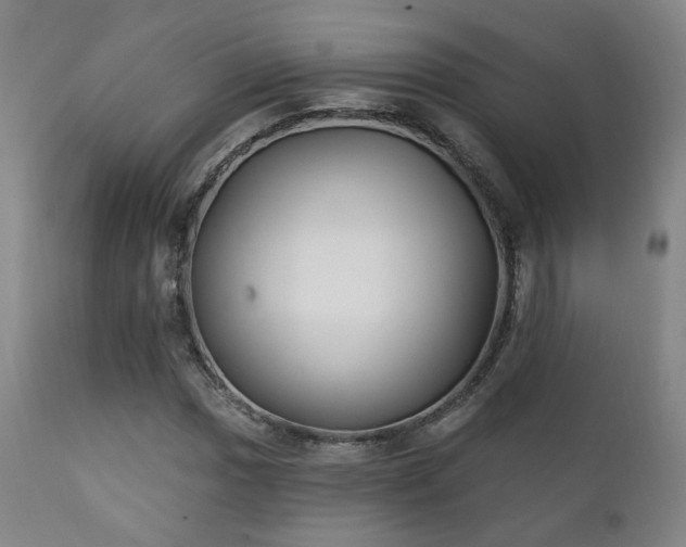 X0000111221017200907021329