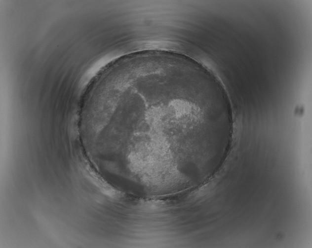 X0000111221019200907021329