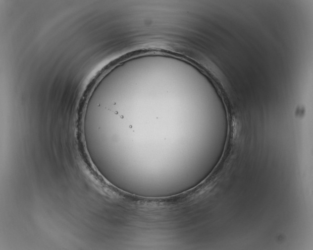 X0000111221020200907021330