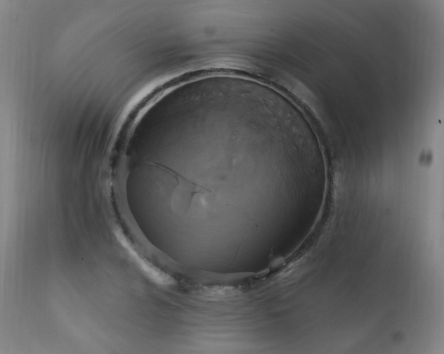 X0000111221024200907021330