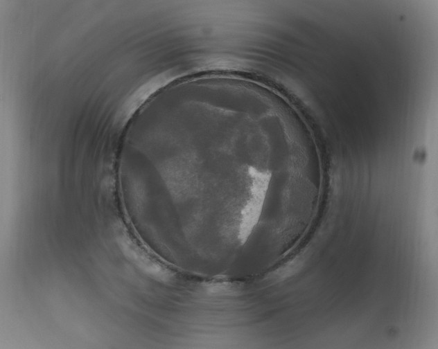 X0000111221025200907021330