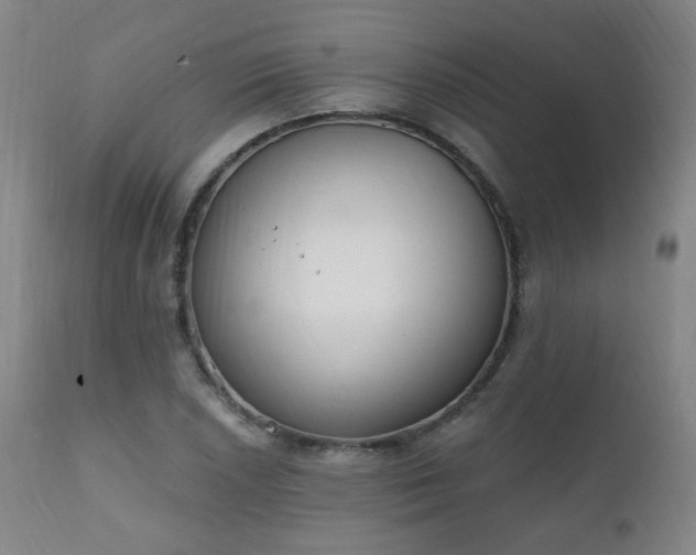 X0000111221026200907021330