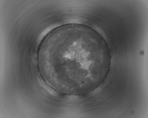 X0000111221027200907021330
