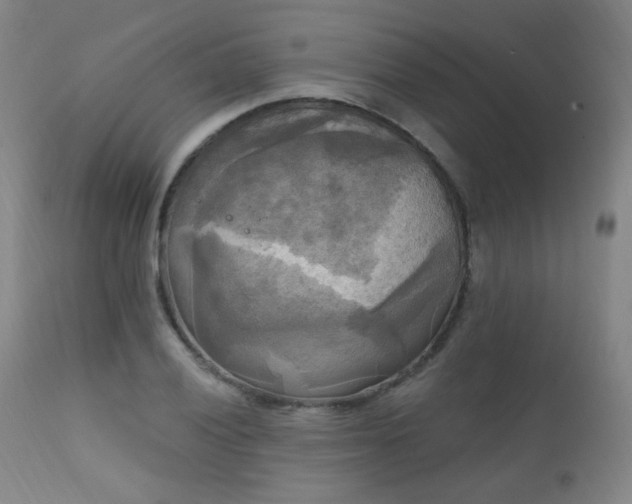 X0000111221028200907021330