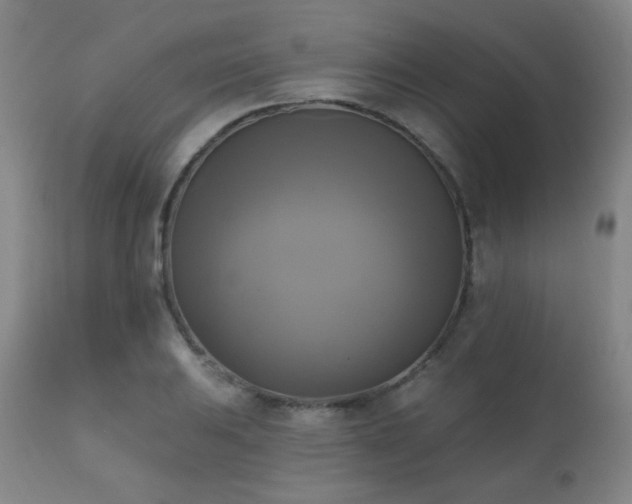 X0000111221031200907021330