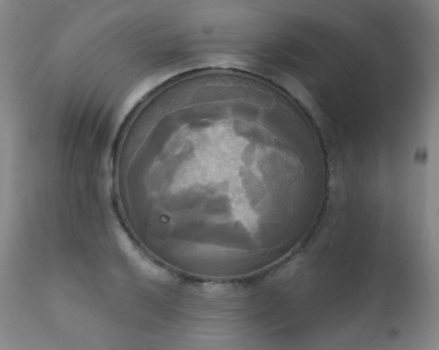 X0000111221032200907021330