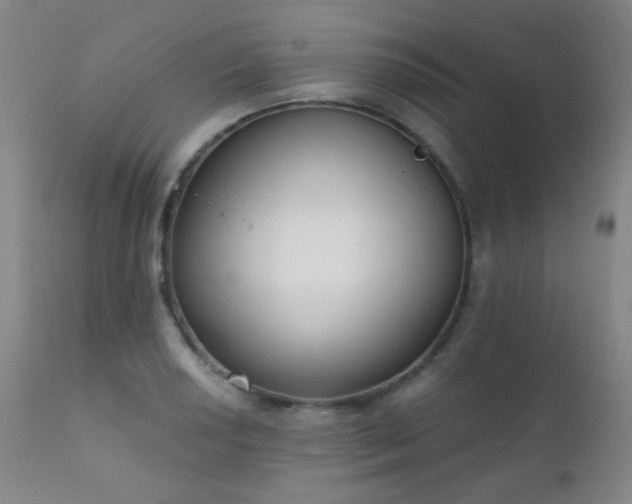 X0000111221034200907021330