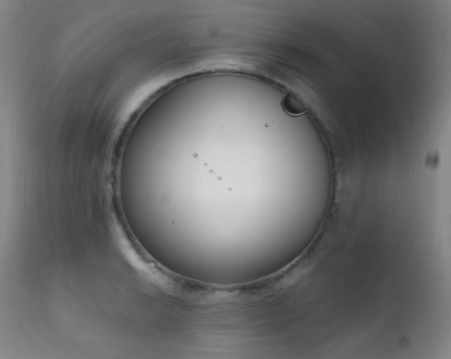 X0000111221038200907021330
