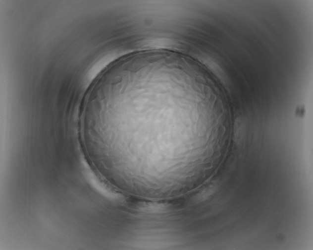 X0000111221039200907021330