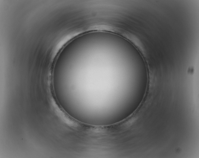 X0000111221040200907021330