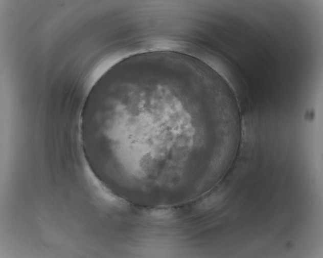 X0000111221047200907021330