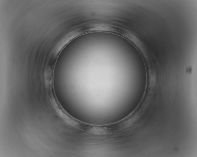 X0000111221049200907021330