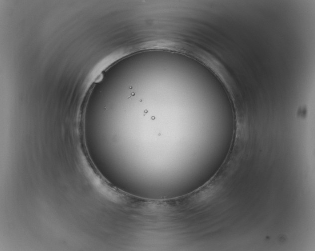 X0000111221050200907021330