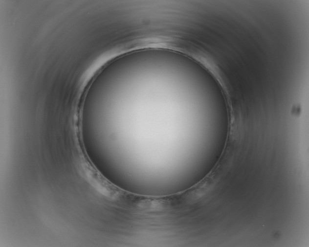 X0000111221051200907021330