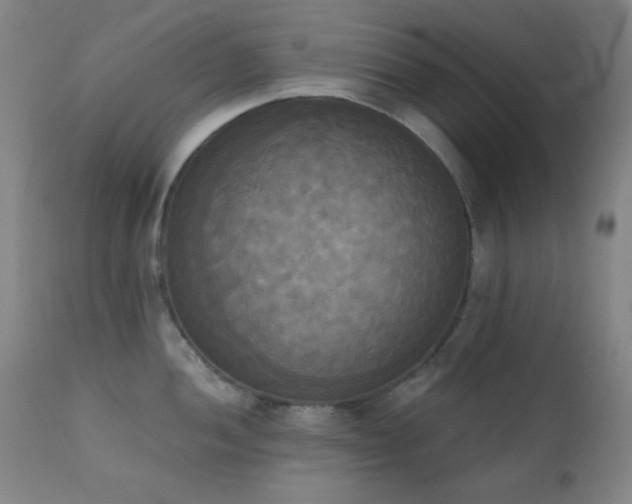 X0000111221052200907021330