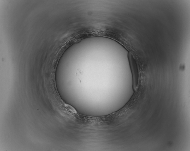 X0000111221057200907021329
