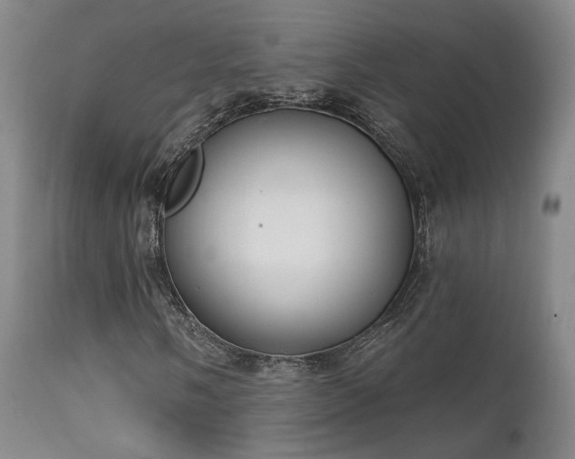 X0000111221058200907021329