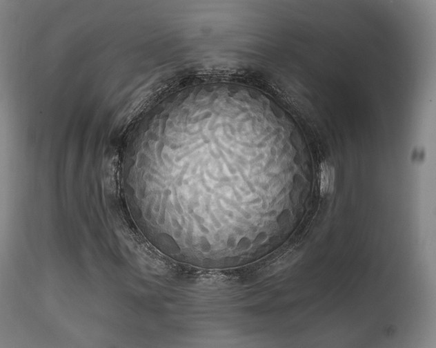 X0000111221059200907021329