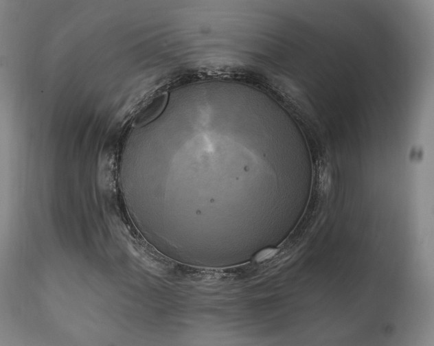 X0000111221060200907021329