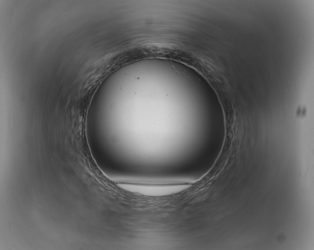 X0000111221061200907021329