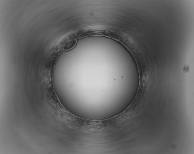 X0000111221062200907021329