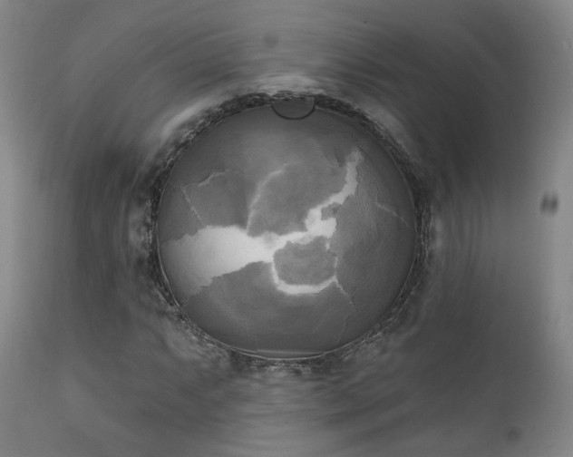 X0000111221063200907021329