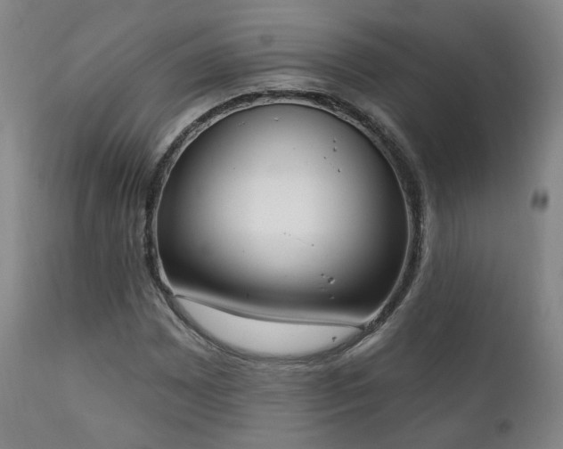 X0000111221065200907021329