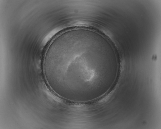 X0000111221066200907021329