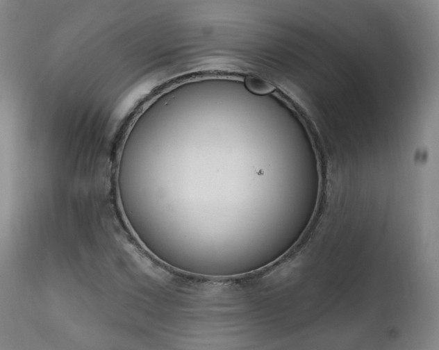 X0000111221067200907021329
