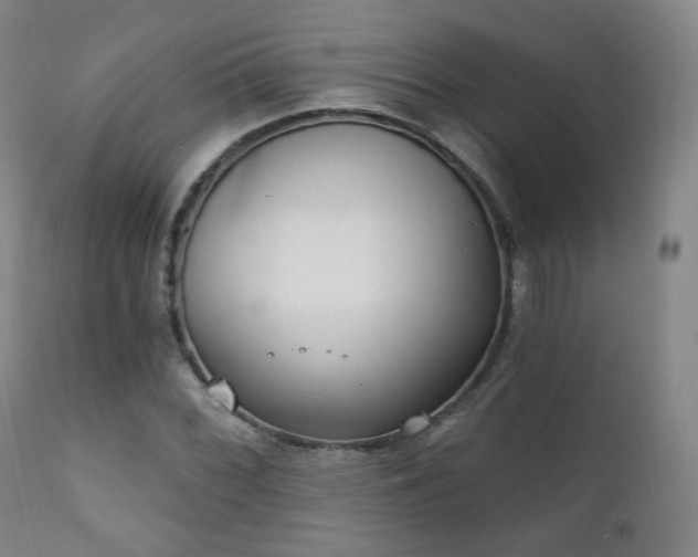 X0000111221068200907021329
