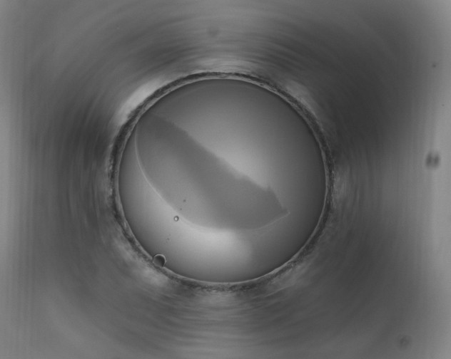 X0000111221071200907021329