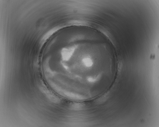 X0000111221074200907021329