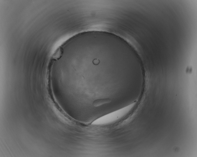 X0000111221077200907021329