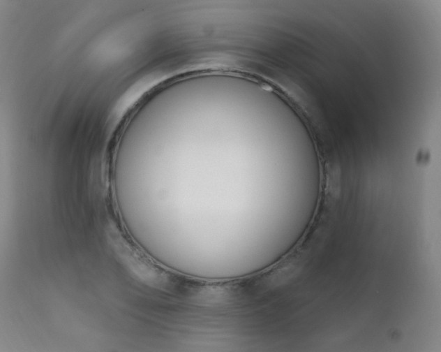 X0000111221078200907021329