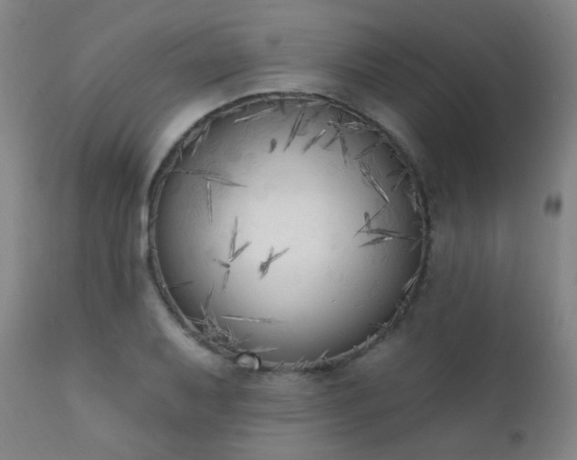 X0000111221079200907021329