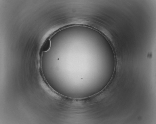 X0000111221080200907021329