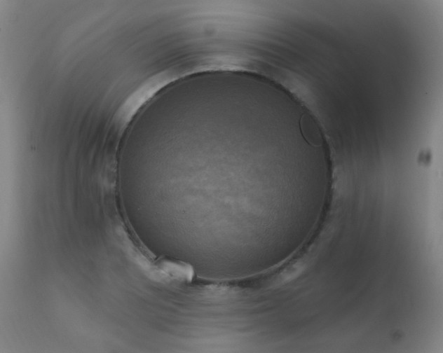X0000111221081200907021329