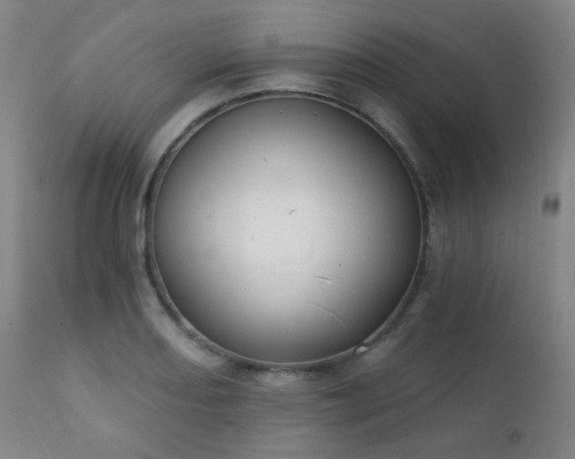 X0000111221082200907021329