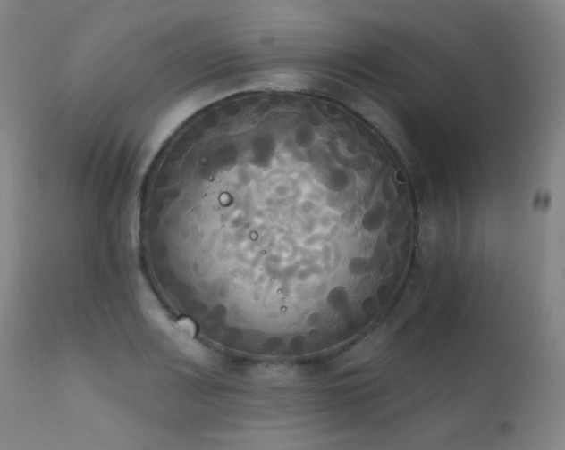 X0000111221083200907021329