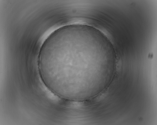 X0000111221086200907021329