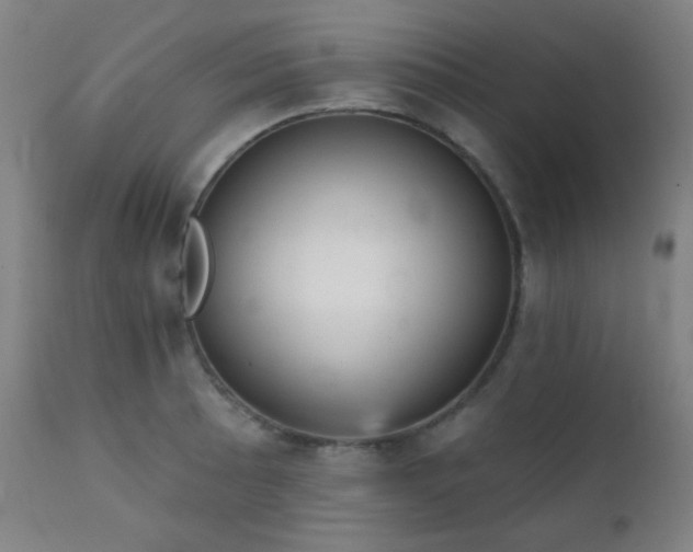 X0000111221089200907021329