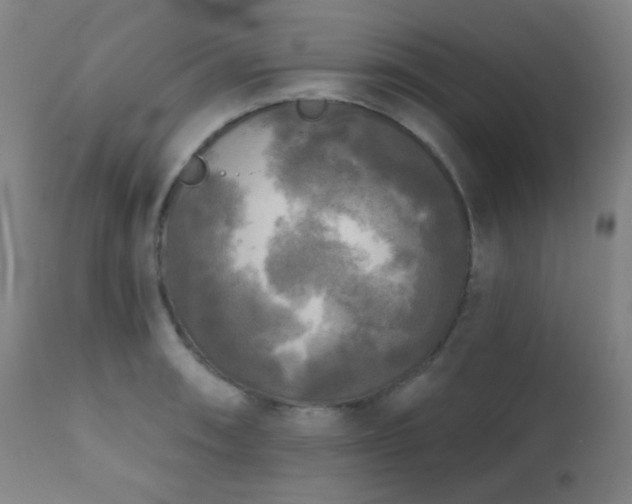 X0000111221090200907021329